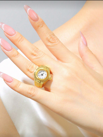 Diving Timing (Stainless Steel)