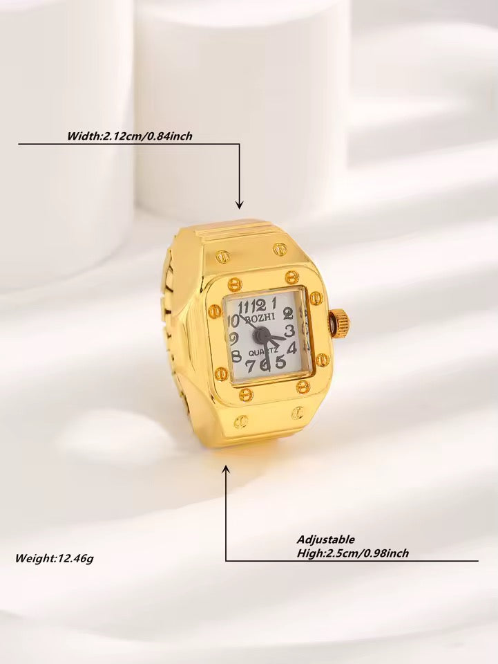 Diving Timing (Stainless Steel)