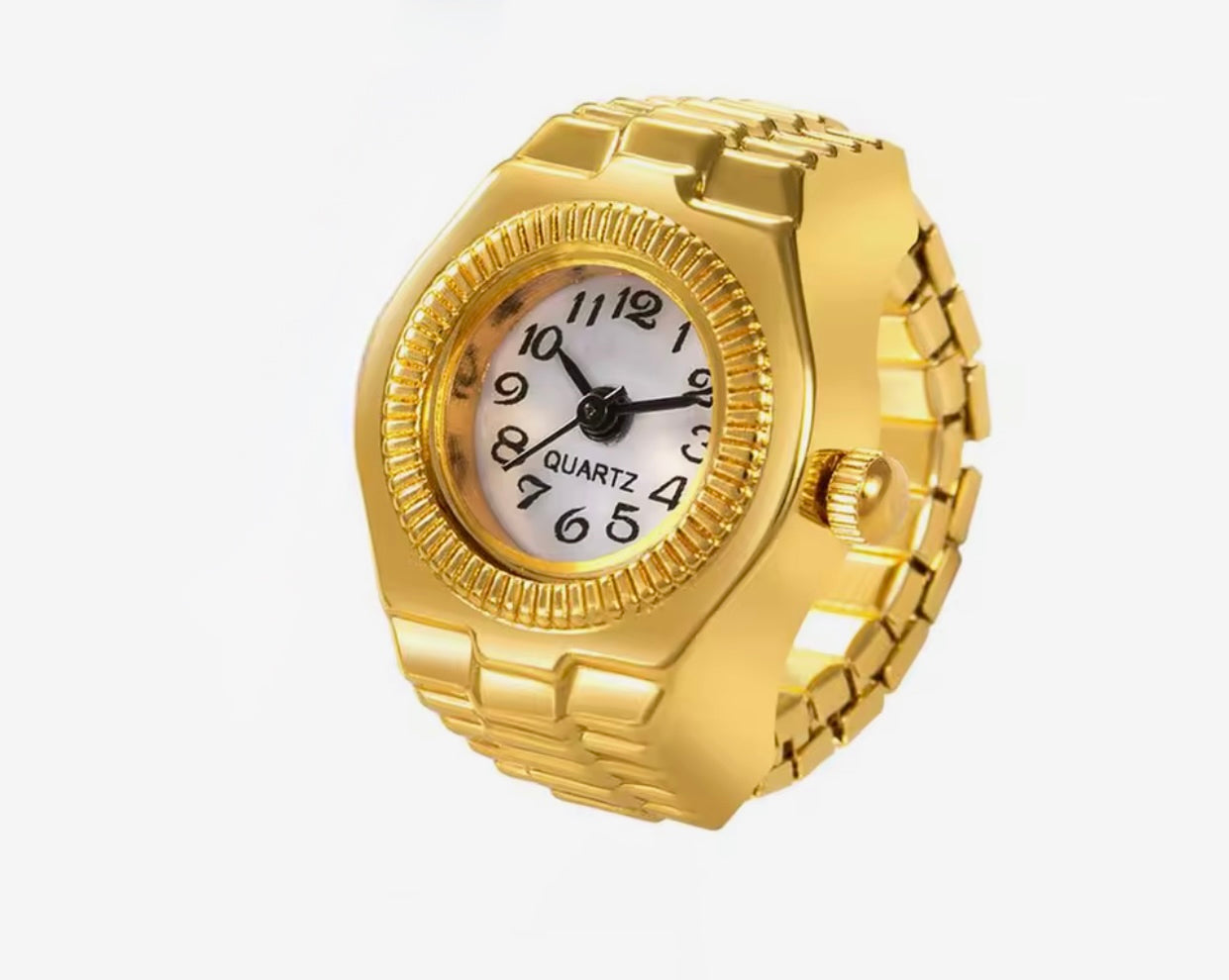 Diving Timing (Stainless Steel)