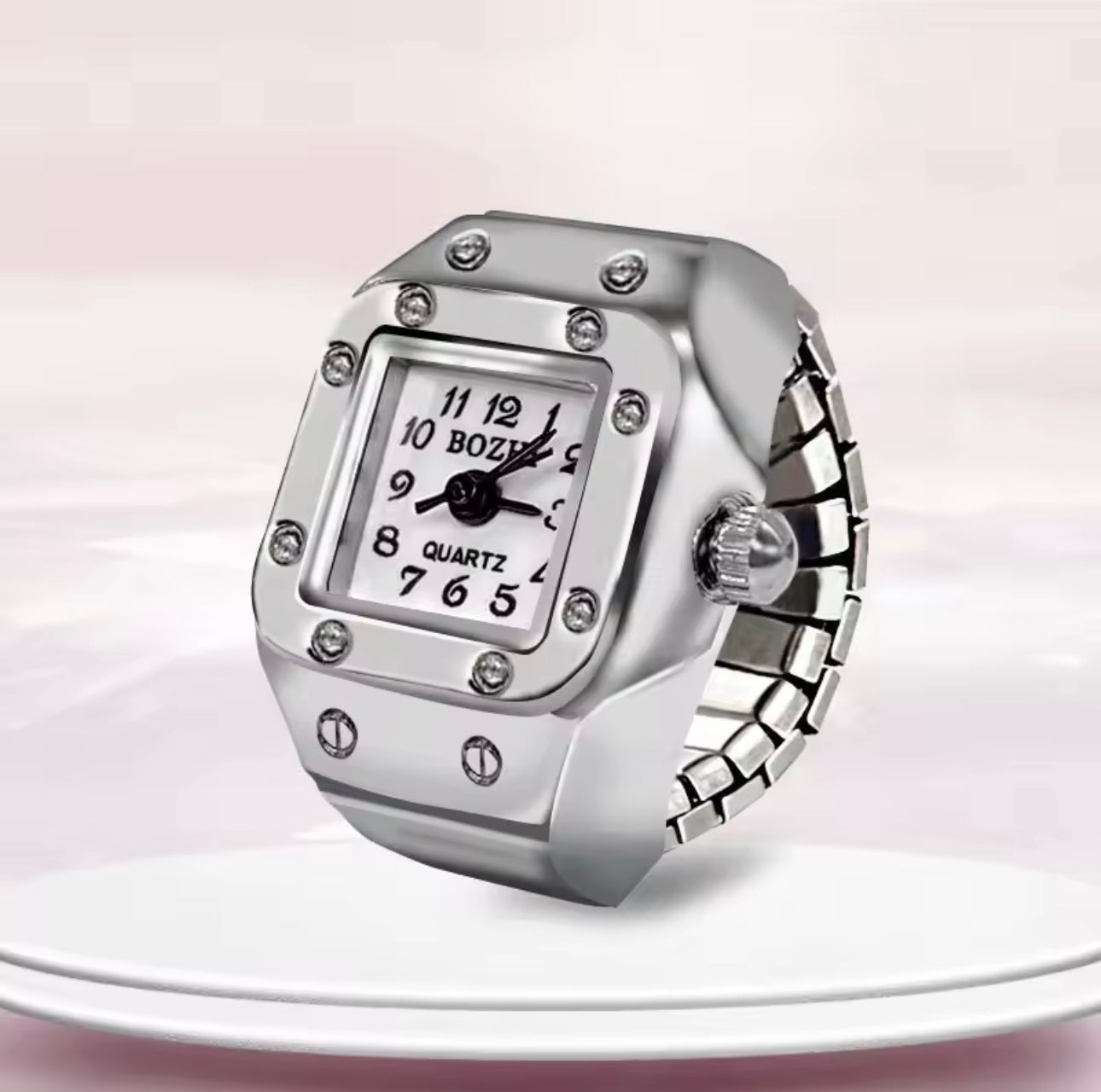 Diving Timing (Stainless Steel)